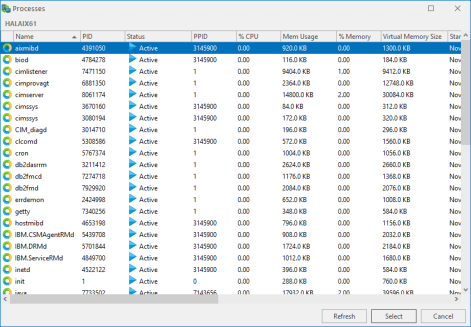 An image showing the AIX Processes dialog